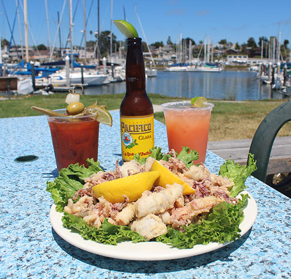 calamariandbeer Calamari